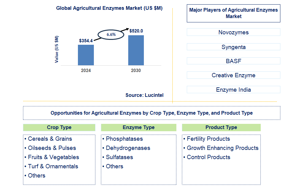 Agricultural Enzymes Trends and Forecast